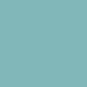 ESMALTE SINTETICO BRIL LUX NEO WALL G 2 - 101 Celeste 1 lt