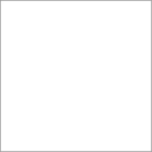 LATEX PROFESIONAL WALL INTERIORES LAVABLE - 524 Blanco          10 lts