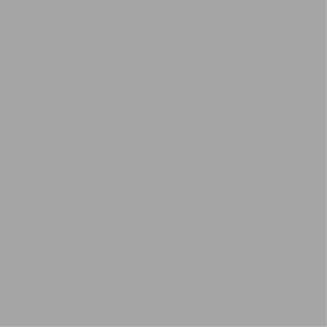 ESMALTE SINTETICO BRIL LUX NEO WALL G 2 - 101  Gris Perla          1 lt